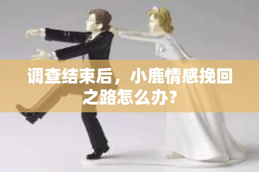 调查结束后，小鹿情感挽回之路怎么办？