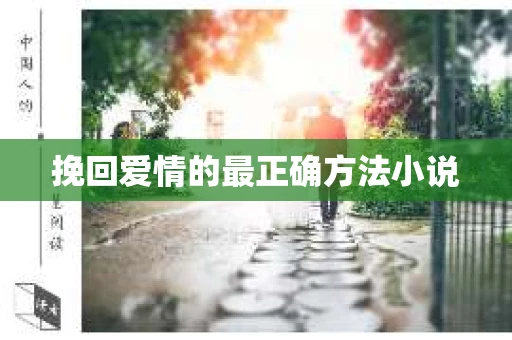 挽回爱情的最正确方法小说