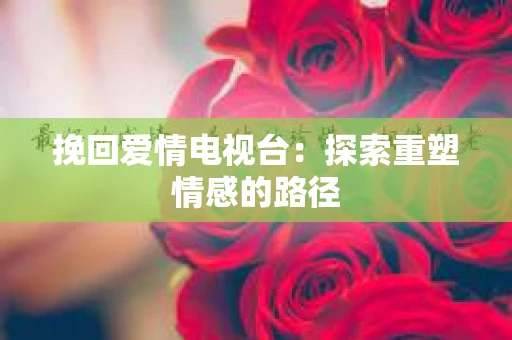 挽回爱情电视台：探索重塑情感的路径