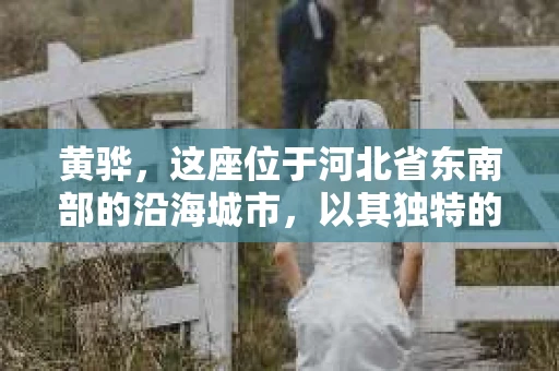 黄骅，这座位于河北省东南部的沿海城市，以其独特的地理位置和丰富的历史文化而闻名。然而，在这座城市中，还有一群人，他们以另一种方式默默守护着社会的公平与正义——私家侦探。今天，我们就来聊聊黄骅的私家侦探，看看他们是如何在这个城市中发挥作用的。