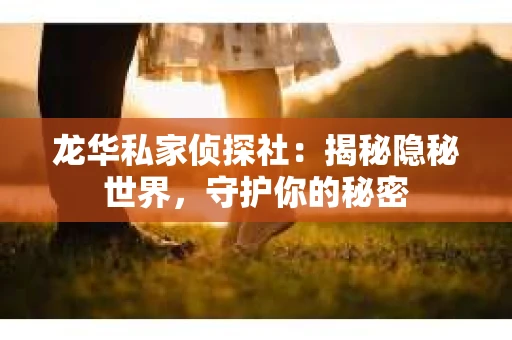 龙华私家侦探社：揭秘隐秘世界，守护你的秘密