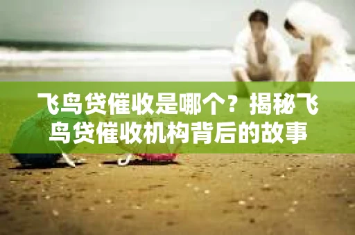 飞鸟贷催收是哪个？揭秘飞鸟贷催收机构背后的故事