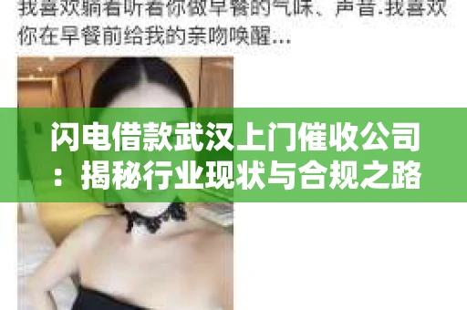 闪电借款武汉上门催收公司：揭秘行业现状与合规之路