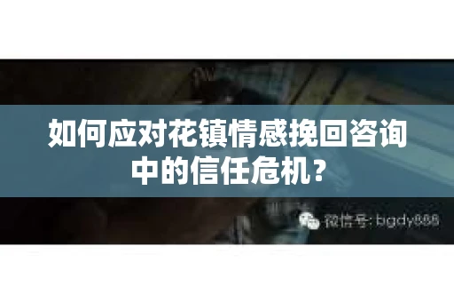 如何应对花镇情感挽回咨询中的信任危机？
