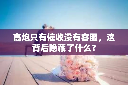 高炮只有催收没有客服，这背后隐藏了什么？