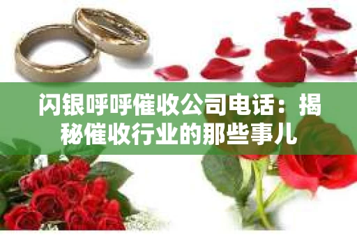 闪银呼呼催收公司电话：揭秘催收行业的那些事儿