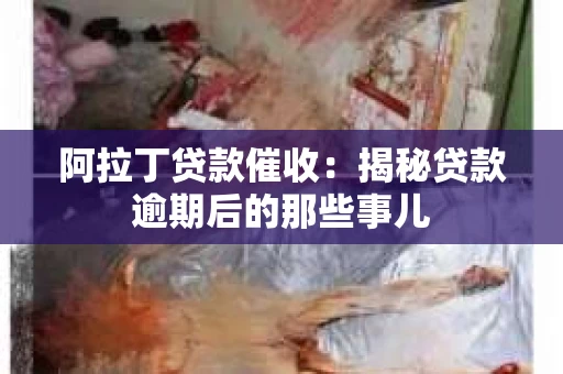 阿拉丁贷款催收：揭秘贷款逾期后的那些事儿