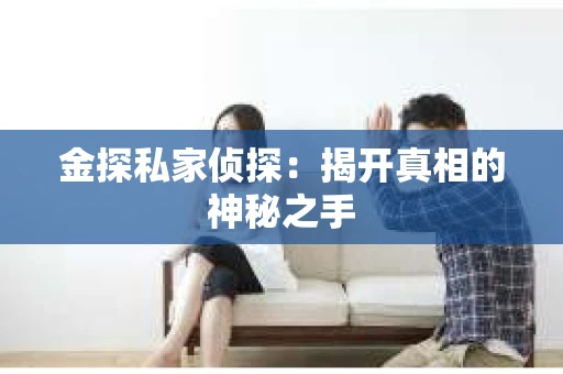 金探私家侦探：揭开真相的神秘之手