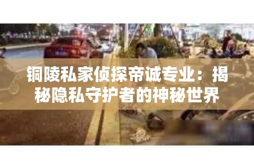 铜陵私家侦探帝诚专业：揭秘隐私守护者的神秘世界