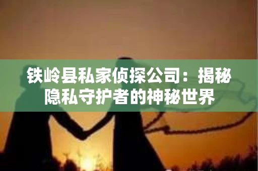 铁岭县私家侦探公司：揭秘隐私守护者的神秘世界