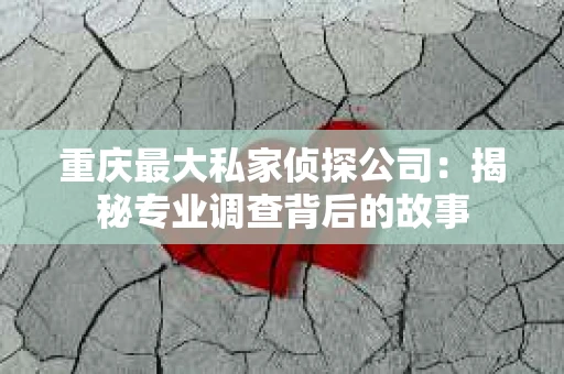 重庆最大私家侦探公司：揭秘专业调查背后的故事