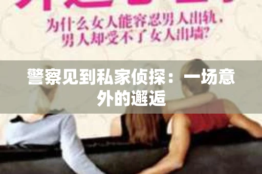 警察见到私家侦探：一场意外的邂逅