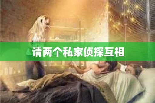 请两个私家侦探互相