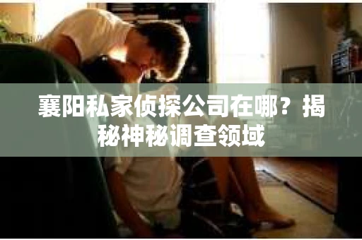 襄阳私家侦探公司在哪？揭秘神秘调查领域