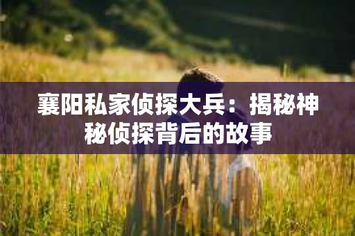 襄阳私家侦探大兵：揭秘神秘侦探背后的故事
