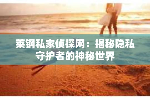 莱钢私家侦探网：揭秘隐私守护者的神秘世界