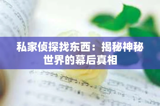 私家侦探找东西：揭秘神秘世界的幕后真相