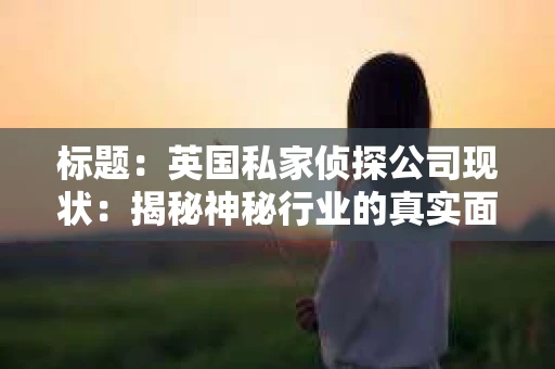 标题：英国私家侦探公司现状：揭秘神秘行业的真实面貌
