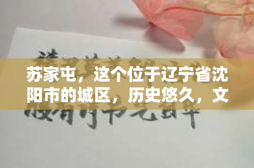苏家屯，这个位于辽宁省沈阳市的城区，历史悠久，文化底蕴深厚。近年来，随着社会的发展，人们对于私家侦探的需求也逐渐增加。那么，苏家屯有私家侦探吗？今天，我们就来聊聊这个话题。