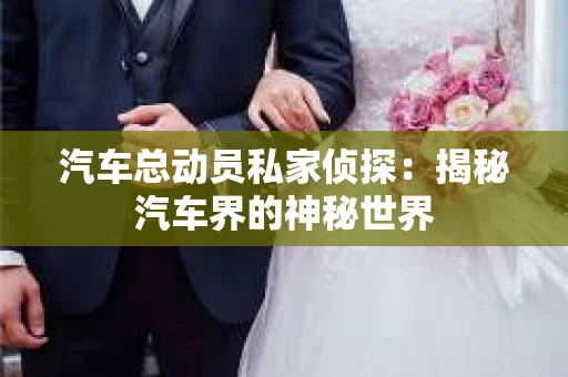 汽车总动员私家侦探：揭秘汽车界的神秘世界