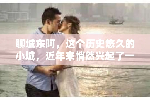 聊城东阿，这个历史悠久的小城，近年来悄然兴起了一股新的服务潮流——私家侦探。今天，我们就来聊聊这个话题，看看在聊城东阿，私家侦探是如何成为人们生活中的一部分的。
