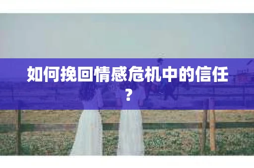 如何挽回情感危机中的信任? 如何挽回情感危机中的信任?