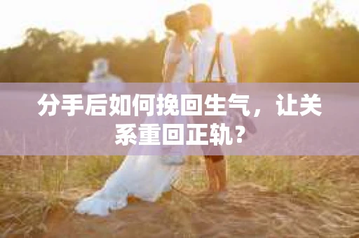 分手后如何挽回生气，让关系重回正轨？