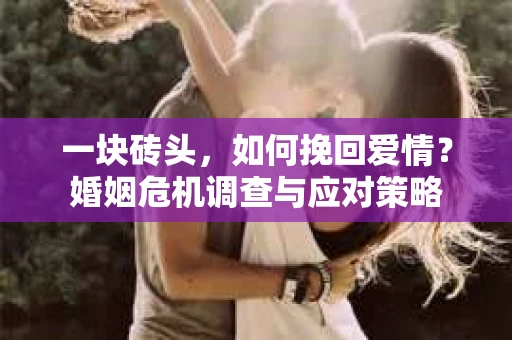 一块砖头,如何挽回爱情?婚姻危机调查与应对策略 一块砖头,如何挽回爱情?婚姻危机调查与应对策略