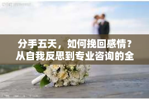 分手五天,如何挽回感情?从自我反思到专业咨询的全面解决方案 分手五天,如何挽回感情?从自我反思到专业咨询的全面解决方案