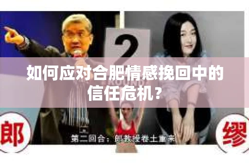 如何应对合肥情感挽回中的信任危机？