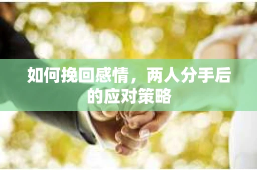 如何挽回感情,两人分手后的应对策略 如何挽回感情,两人分手后的应对策略