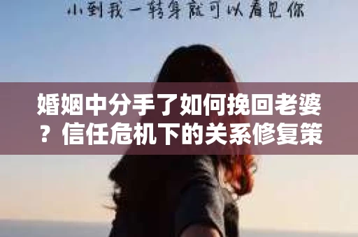 婚姻中分手了如何挽回老婆？信任危机下的关系修复策略