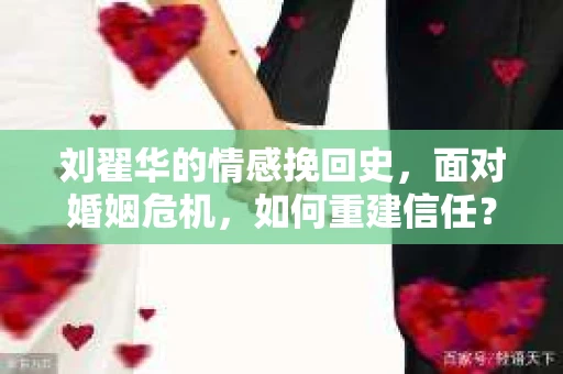 刘翟华的情感挽回史，面对婚姻危机，如何重建信任？